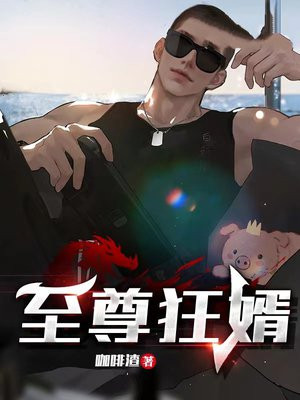 至尊狂婿 昨夜下大雪