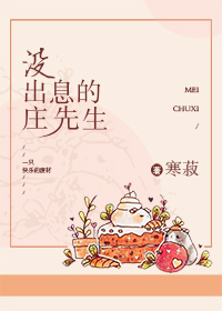 没出息的庄先生剧透