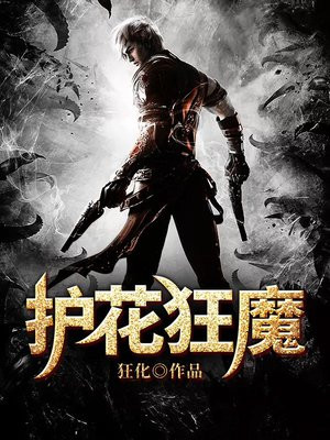 护花狂魔 小说