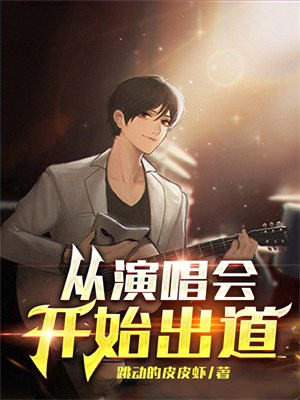 从演唱会开始出道 小说