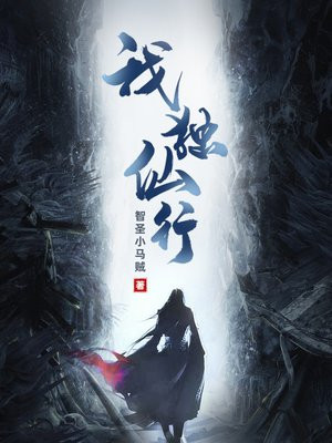 我独仙行境界划分