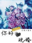 电视剧 晚婚