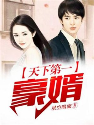 天下第一豪婿下载