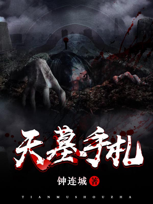 天墓手札 百度网盘
