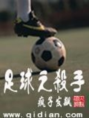 足球之杀手TXT全集下载