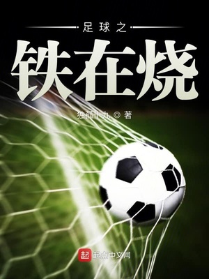 足球铁在烧小说
