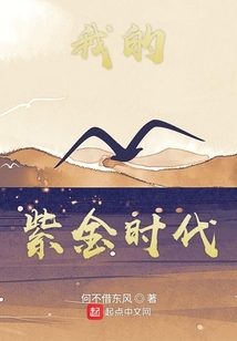 我的紫金时代剧情介绍