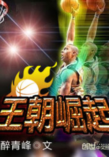 王朝崛起小说