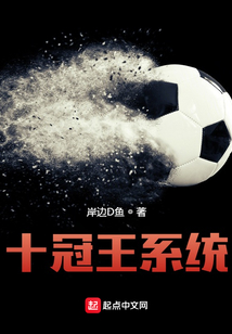 十冠王系统