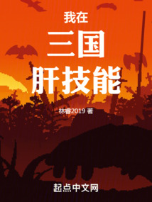 三国技能系统 小说