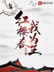 红楼之子为王
