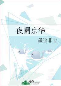 夜阑京华讲的什么故事
