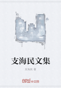 支海民的书哪里能买到