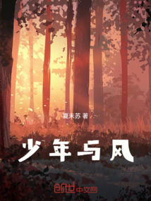 少年与风筝
