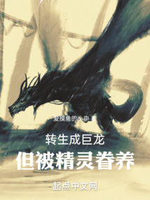 转生成巨龙,但被精灵眷养的小说