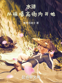 水浒从锤爆高衙内开始小说