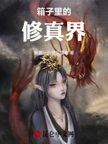 箱子里的修真界小说