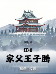 红楼家父王子腾免费