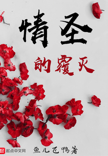 情圣 解析