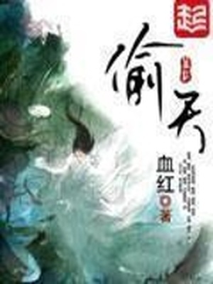 偷天密码美国