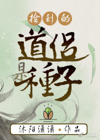 捡到的道侣是种子 作者:沐阳潇潇TXT