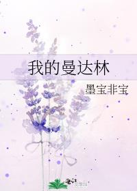 我的曼达林小说全文免费阅读