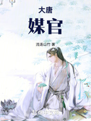 大唐官TXT