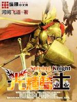 光辉骑士和黑影骑士区别