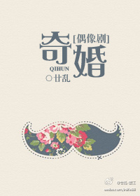奇婚[偶像剧] 小说