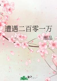 遭遇二百零一万