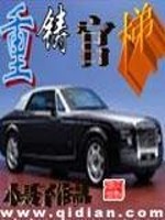 重铸官梯丁长生小说