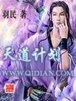 天道计划十三子小说