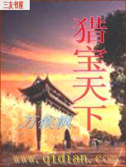 猎宝天下TXT全集下载