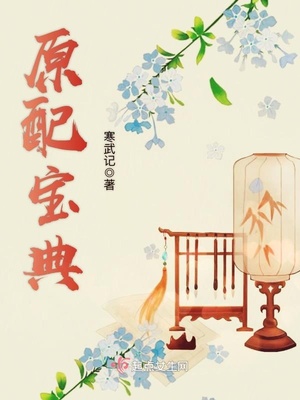 原配宝典大概剧情