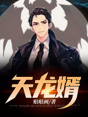 天龙狂婿免费观看全集