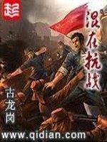 混在抗战TXT下载
