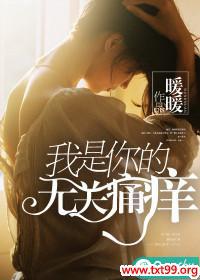 我是你的无关dj版