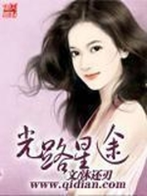光路星途TXT下载