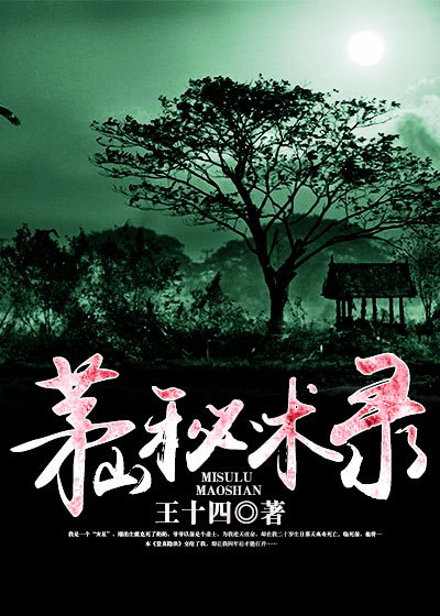茅山秘术录 王十四