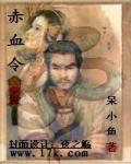 赤血令 小说