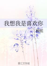 我想我是喜欢你了歌词