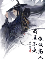 我真不是绝顶高人小说