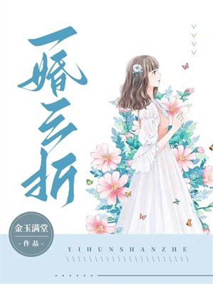 一婚三折 小说