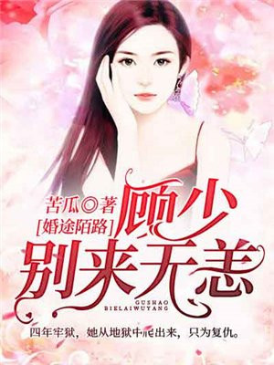 婚途有坑顾少宠妻入骨