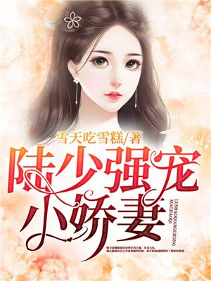 陆少强宠小娇妻免费阅读