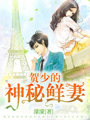 小说贺少的闪婚暖全文免费阅读