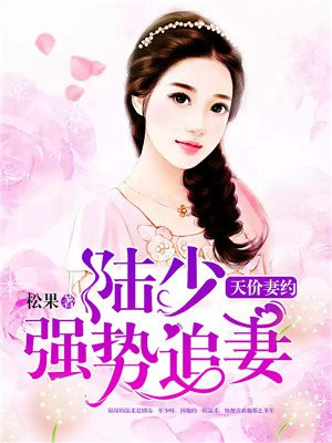 天价契约陆少宠妻无下限全文免费阅读