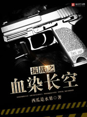 抗战之血染长空 作者:西爪是水果
