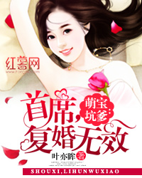 萌宝坑爹:首席,复婚无效 小说