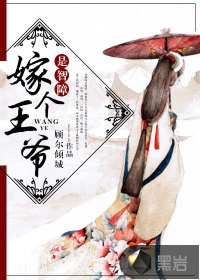 嫁个王爷是智障评价